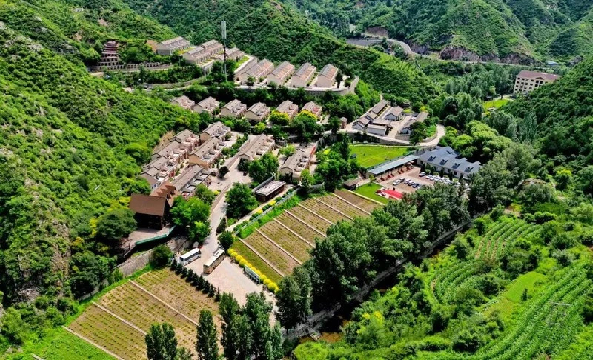Lingqiu County takes organic agriculture as way to promote rural development