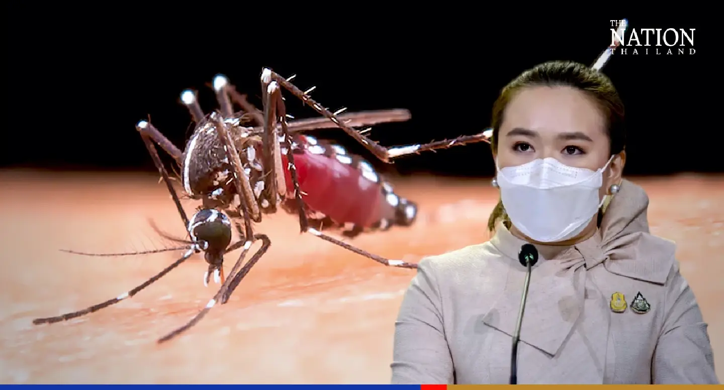 Rainy season will bring dengue fever, hand-foot-and-mouth disease, warns govt