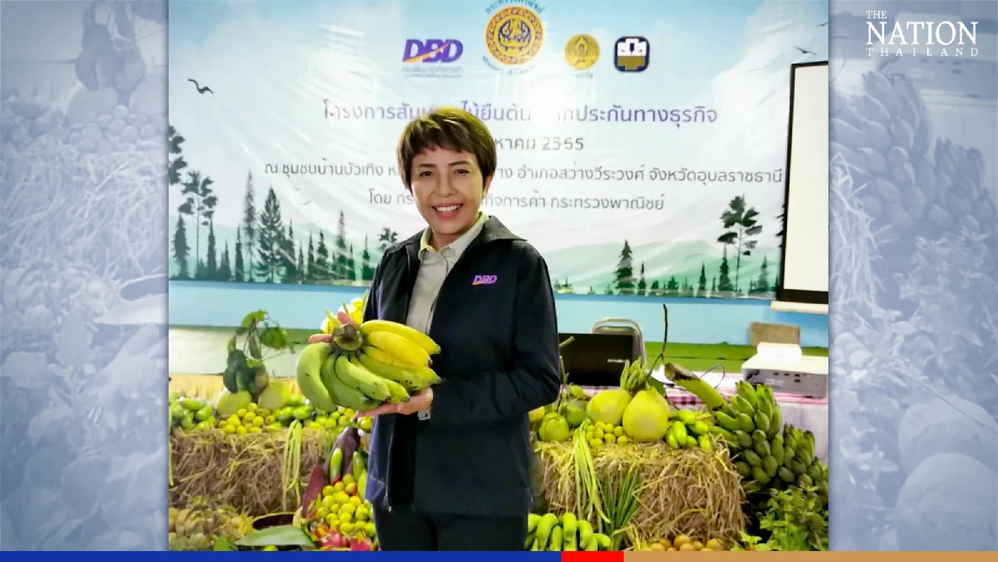 State agency promotes growing economic trees to serve as loan collateral