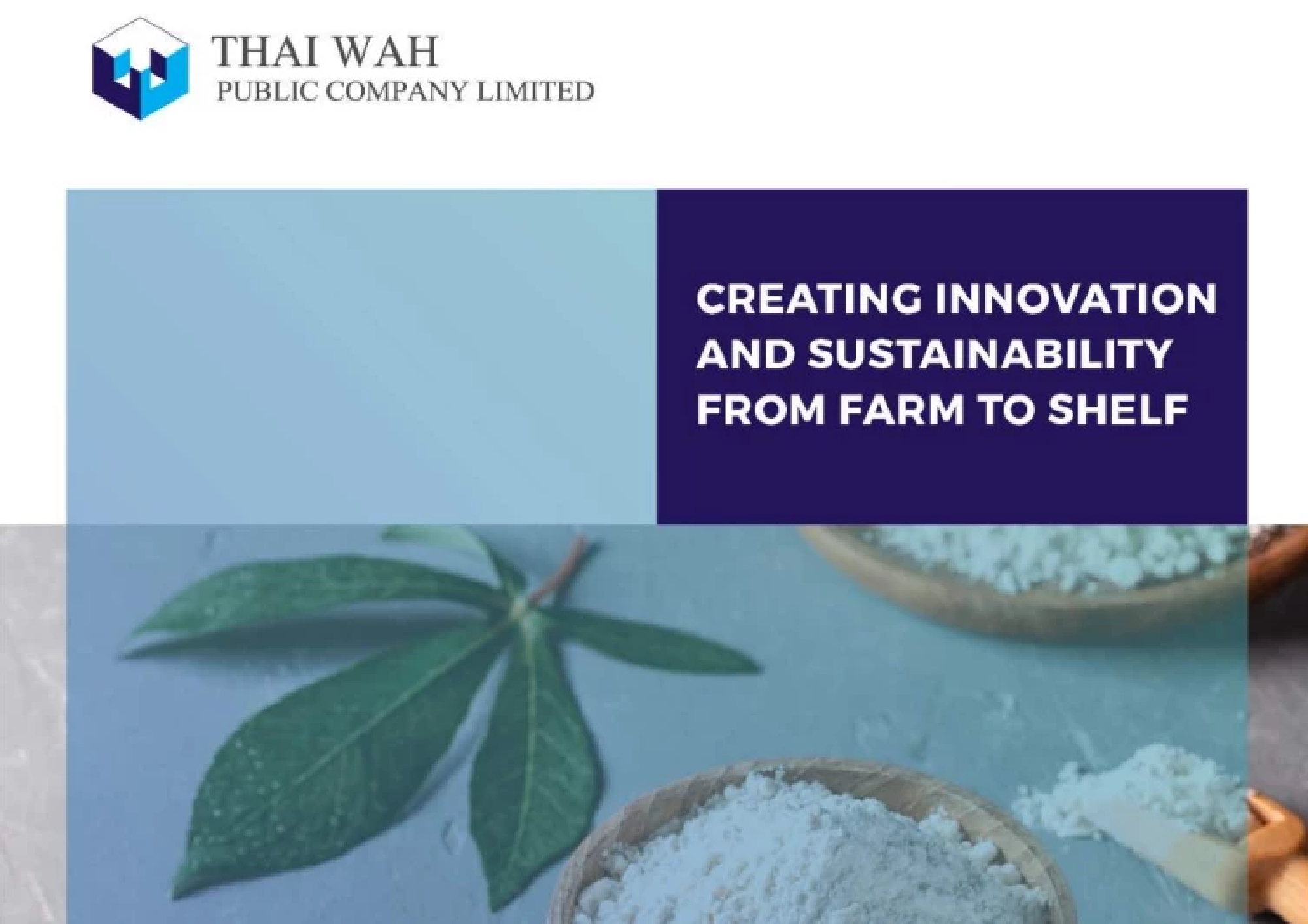 TWPC delivers record sales in 1H2022, moves aggressively into Southeast Asia and Renewable Energy