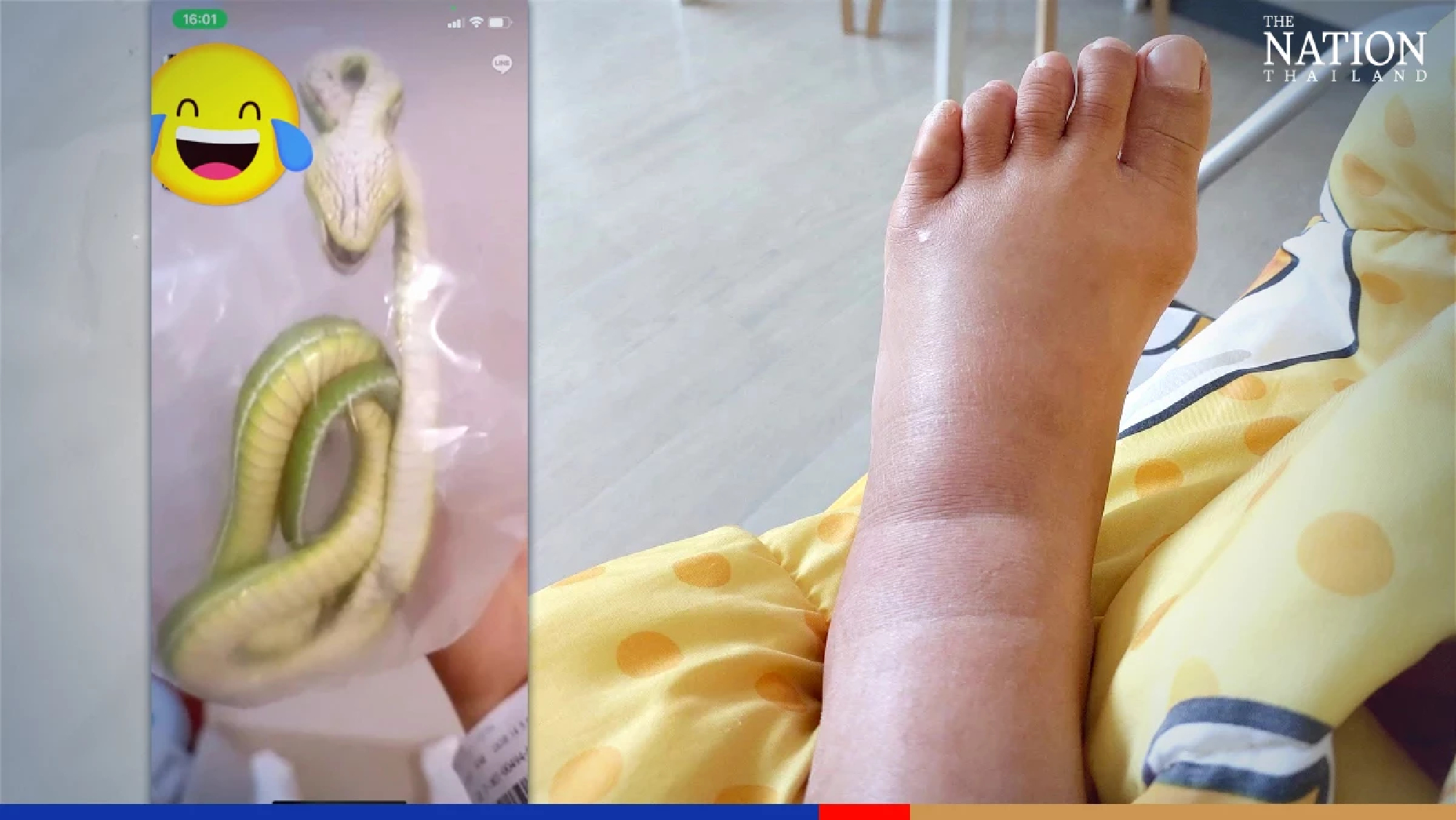 Woman bitten by green pit viper at Bangkok department store