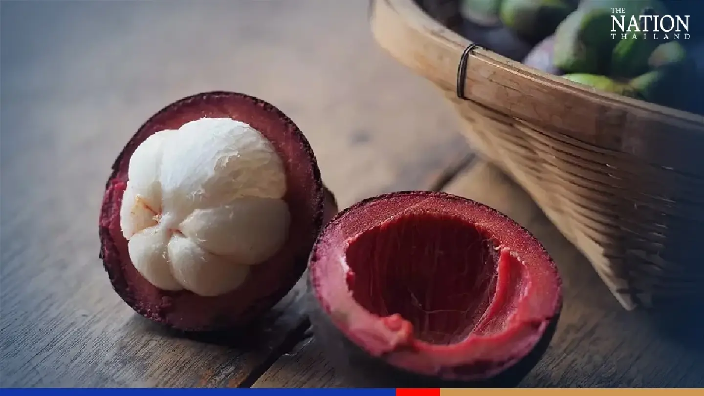 'Mangosteen' the queen of Thai fruits as Medicine