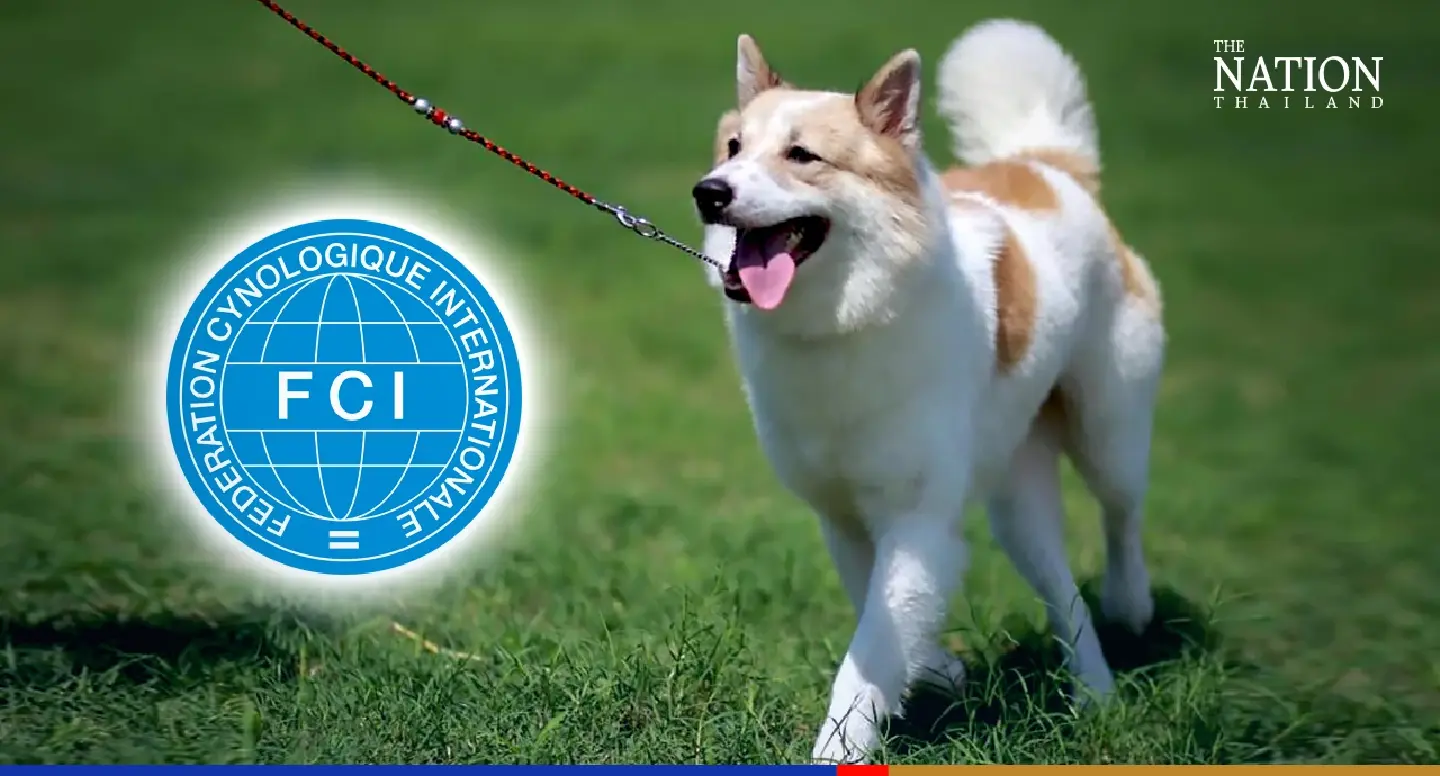 Bangkaew finally receives international canine federation recognition Bangkaew finally receives international canine federation recognition