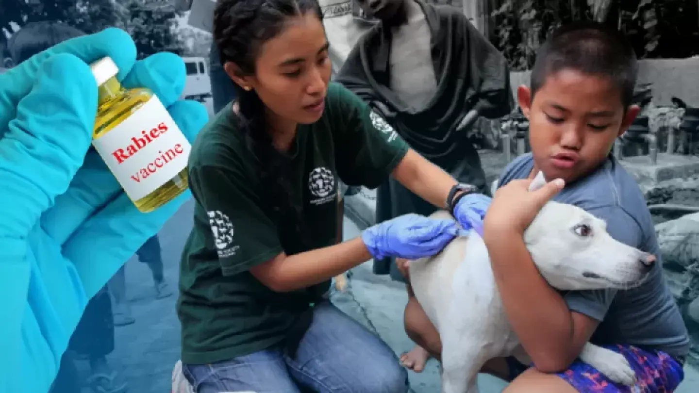 With over 200 average deaths yearly, Philippines far from rabies-free status