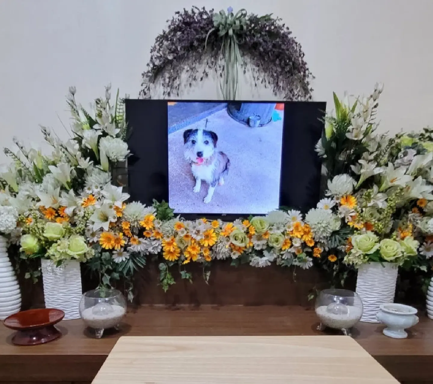 Hero dog’s death reignites debates on animal cruelty