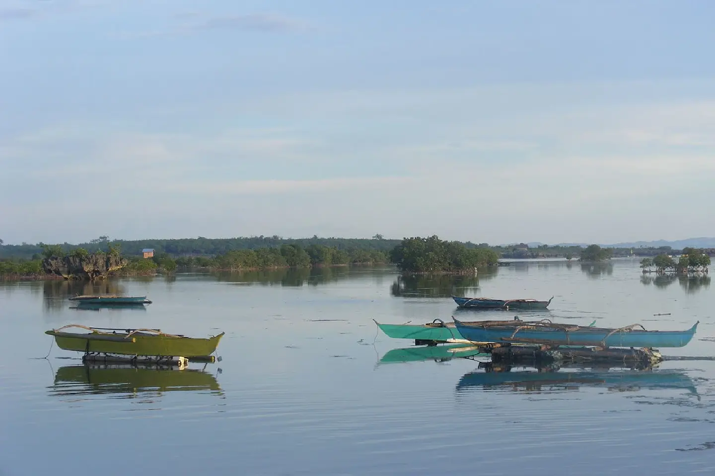 Dirty water prompts Cebu government to ban swimming off Cordova town Dirty water prompts Cebu government to ban swimming off Cordova town