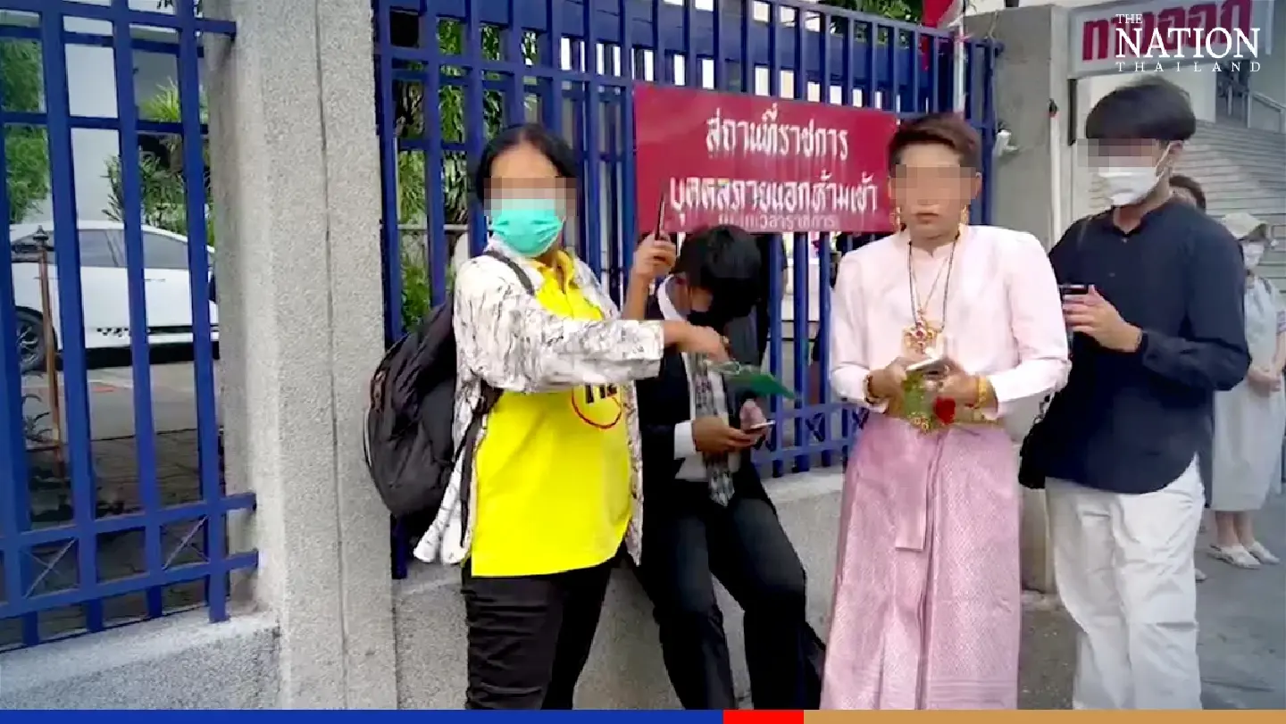 Activist gets 2 years in jail for protesting ‘in pink’