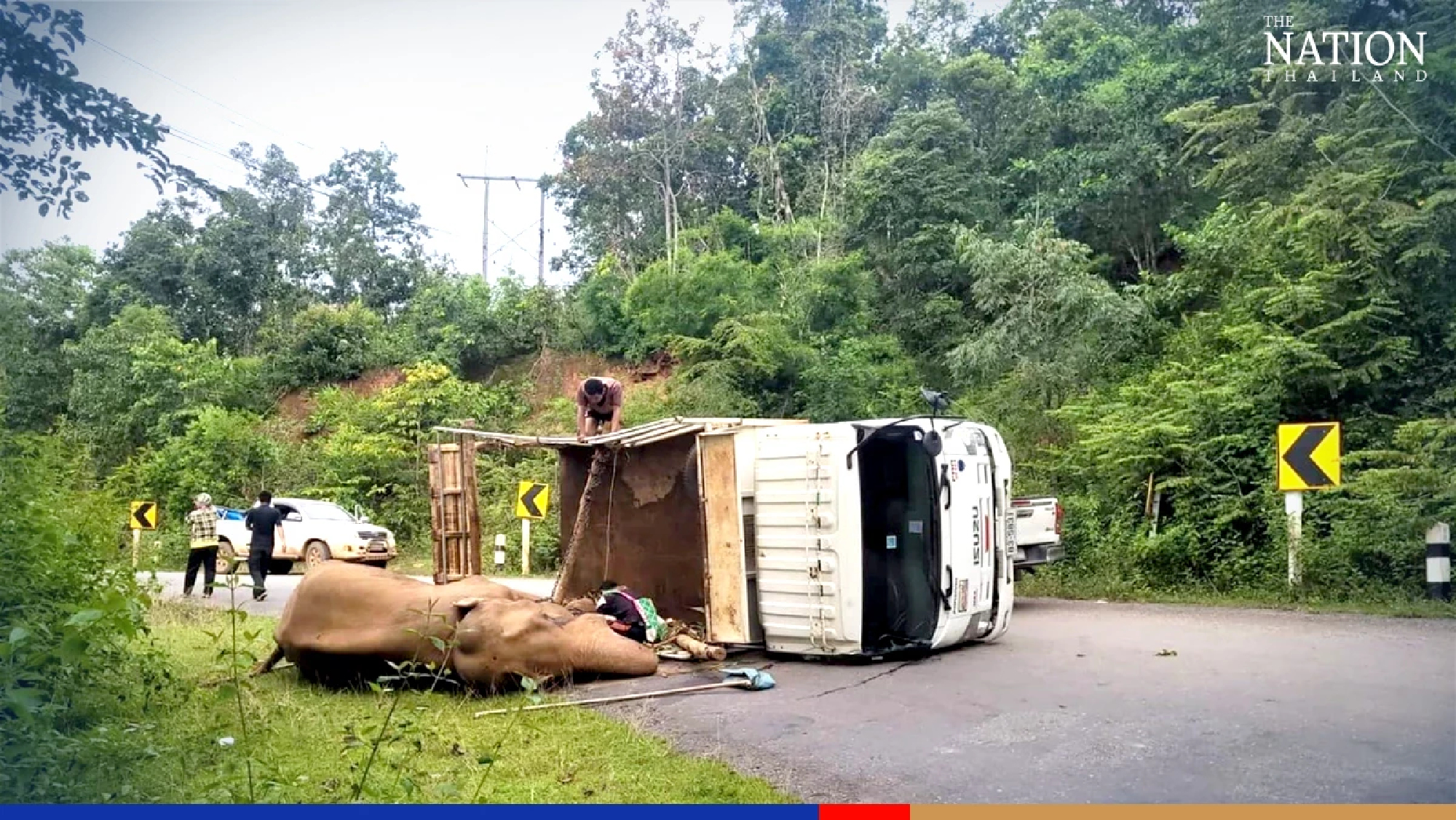 Elephant rescue mission launched after transport truck overturns