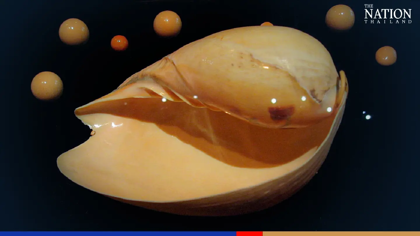 Shellfish lottery: How to tell if that pearl on your plate is worth millions?