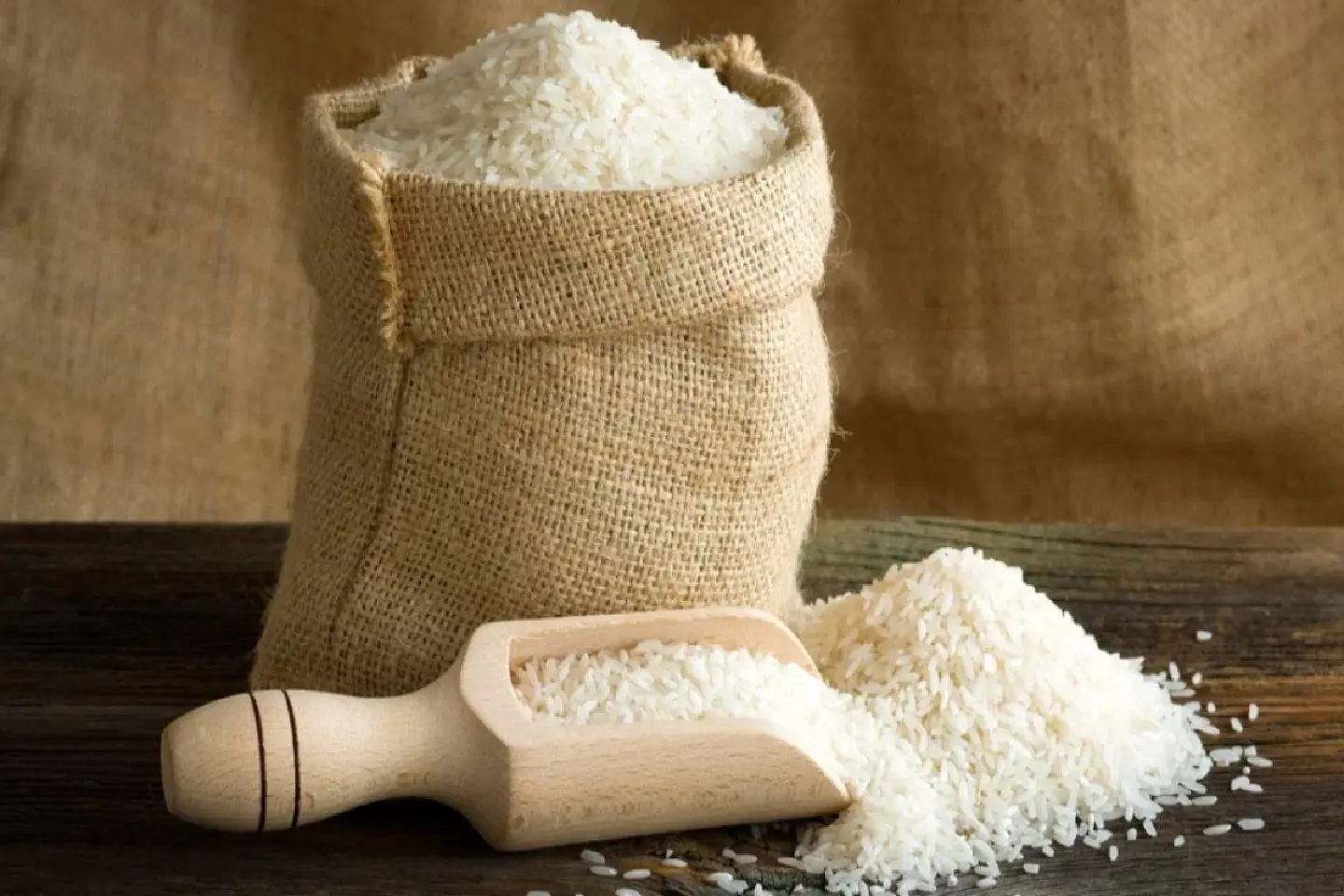 India bans export of broken rice with immediate effect India bans export of broken rice with immediate effect