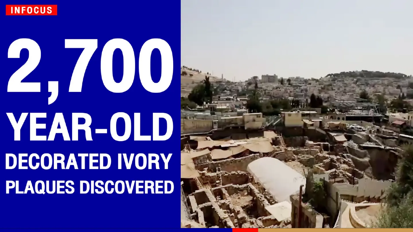 2,700-year-old decorated ivory plaques discovered | The Nation