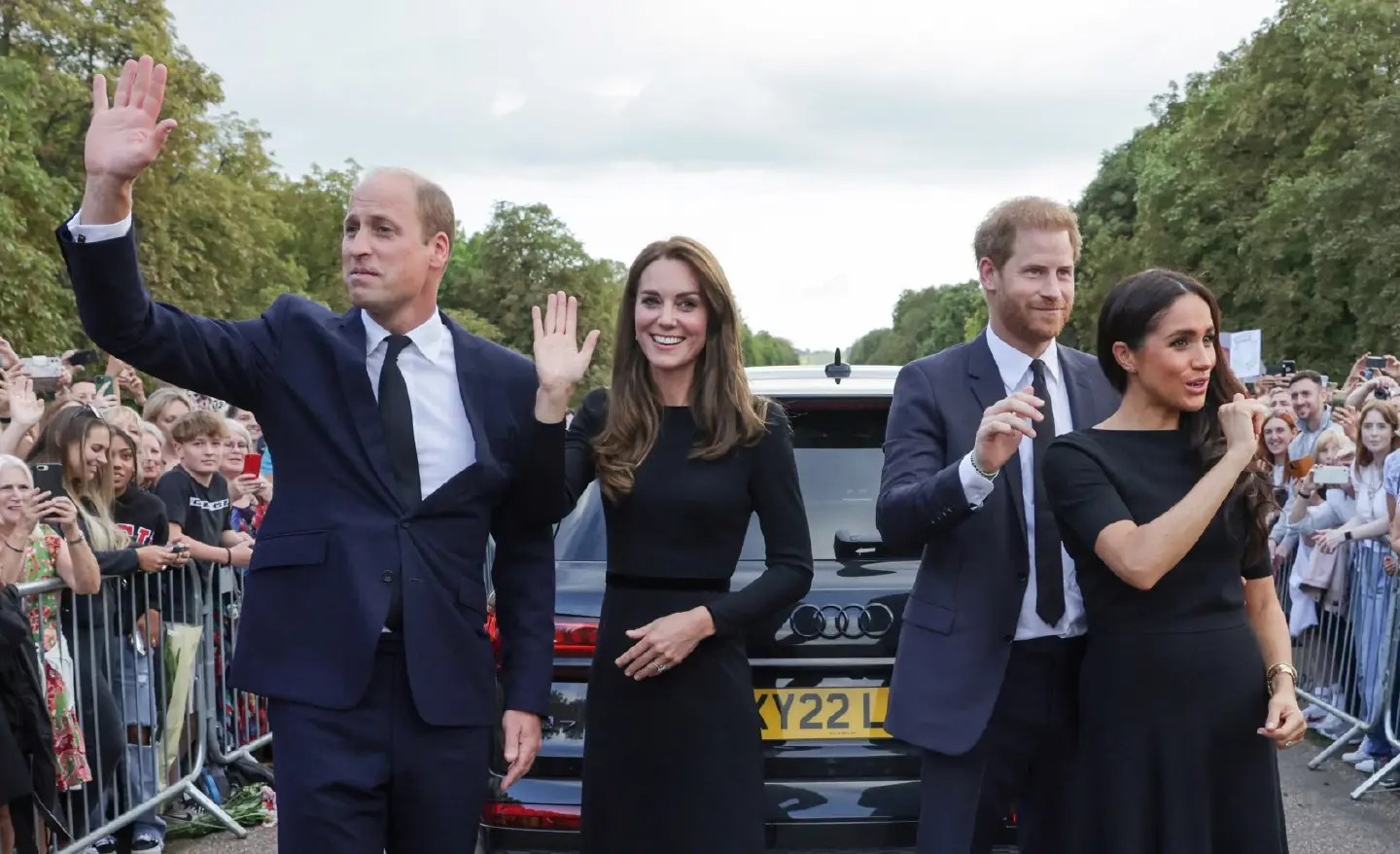 Prince Harry join William on Windsor walkabout as King Charles greets dignitaries Prince Harry join William on Windsor walkabout as King Charles greets dignitaries