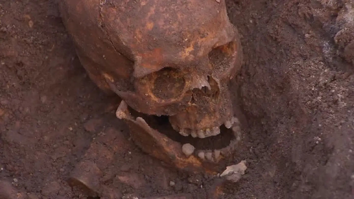 Discovery of King Richard III's remains under car park re-told in 'The Lost King'