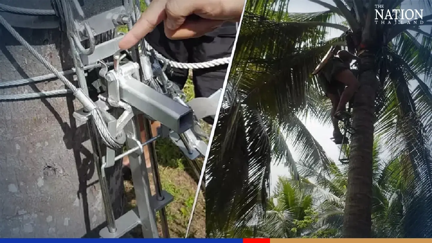 No more monkey business: Thai farmers now have a machine to take them up coconut trees