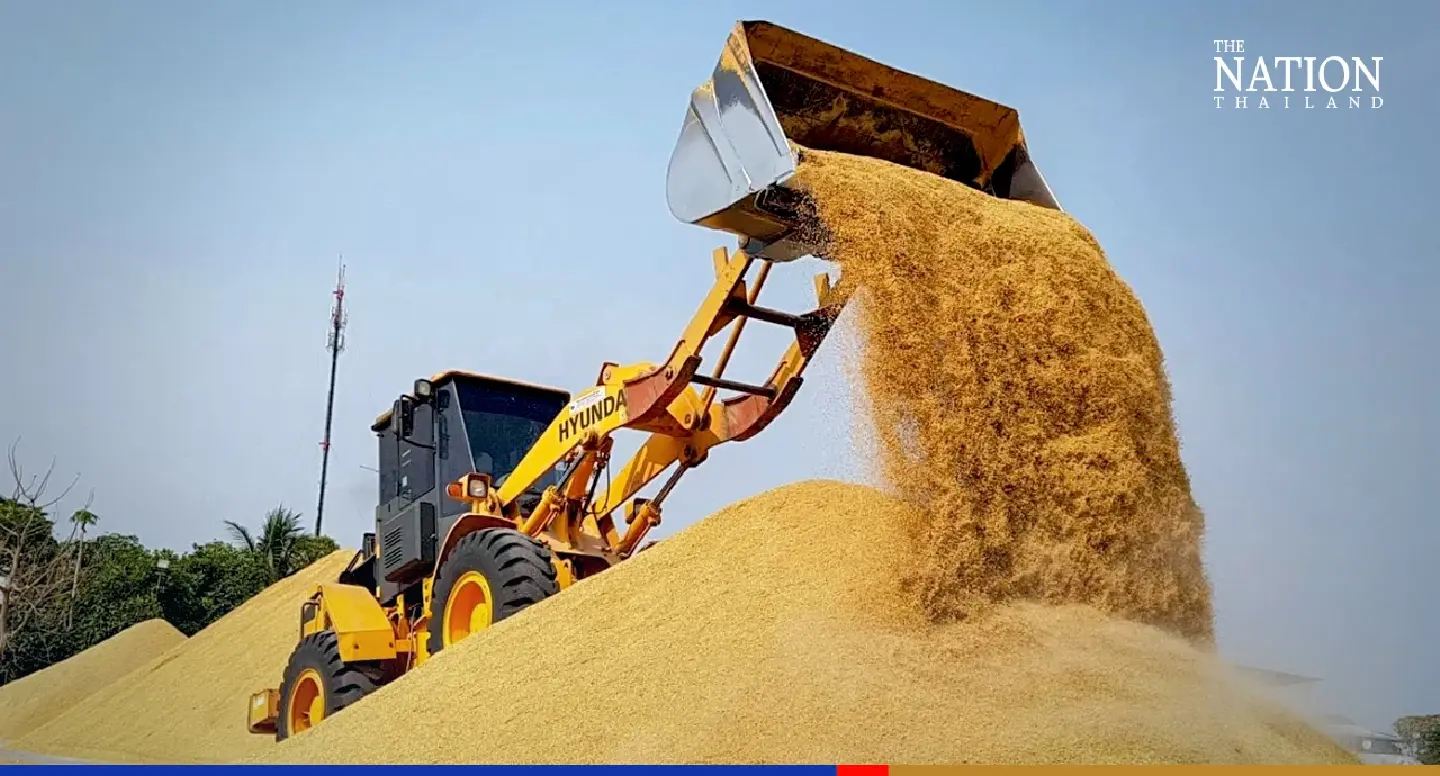 India’s control on rice exports, new orders from Iraq a boon for Thai rice industry India’s control on rice exports, new orders from Iraq a boon for Thai rice industry