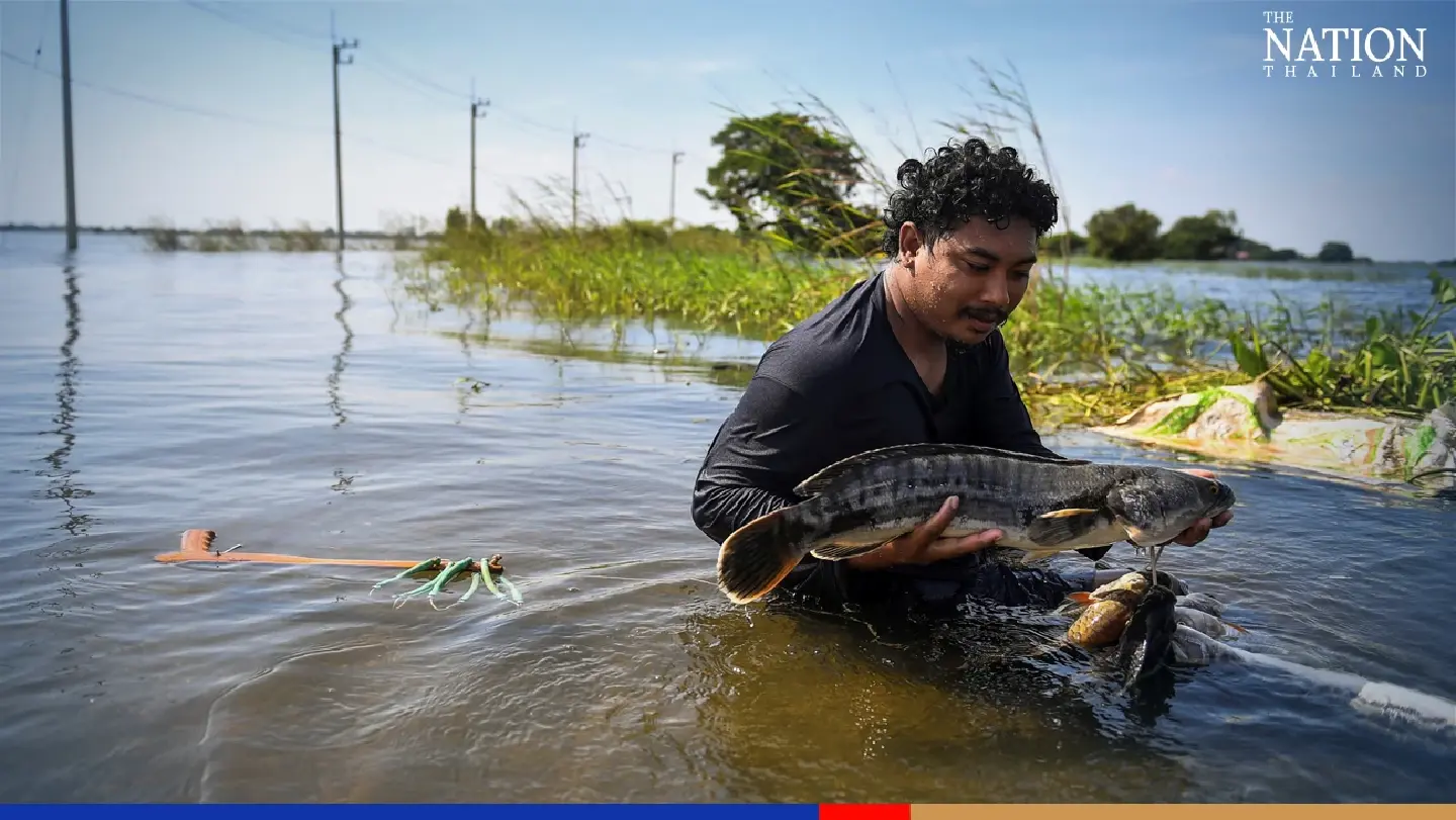 Ayutthaya flood victims survive by catching fish