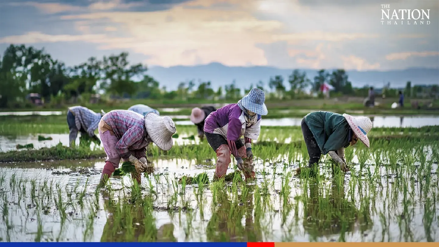 Thailand has highest income inequality in east Asia: World Bank rural poverty report