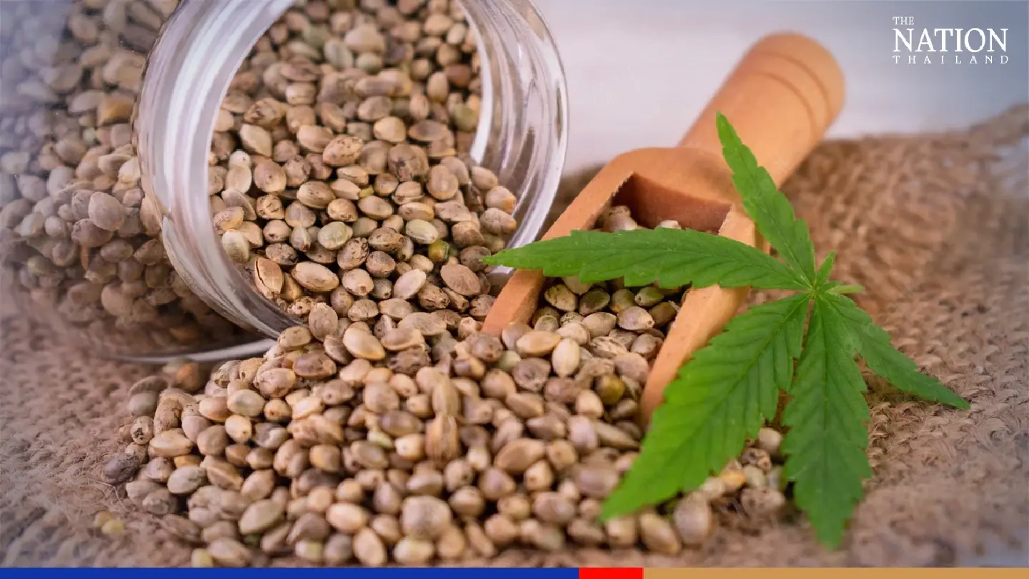 Thailand legalises importation of cannabis and hemp seeds
