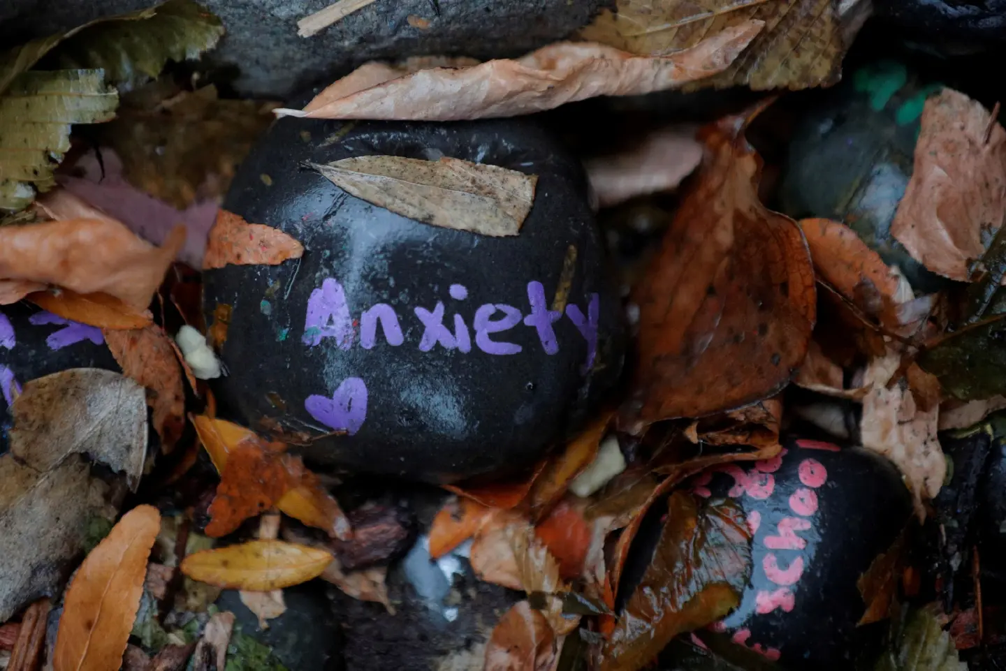 people in Asia view mental health as a critical concern, yet are unlikely to seek external support