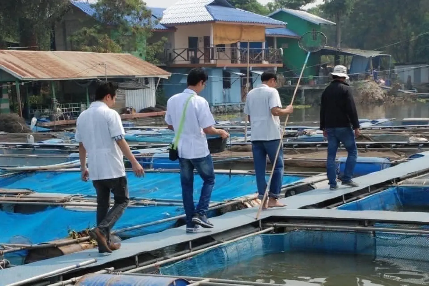 Chula research team develops nano-vaccine option for fish