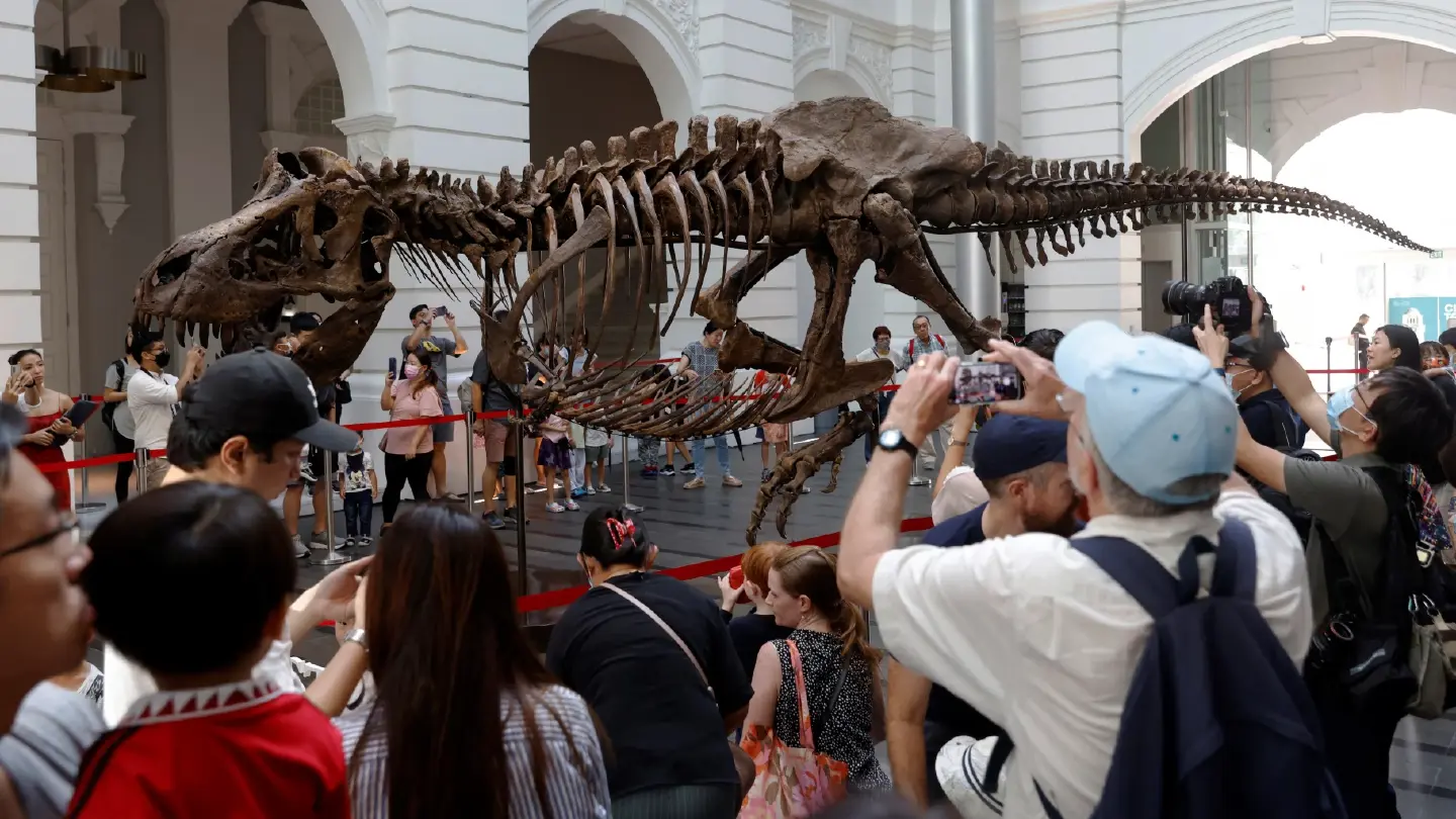 Visitors throng T-Rex skeleton exhibit ahead of first such Christie's auction in Asia
