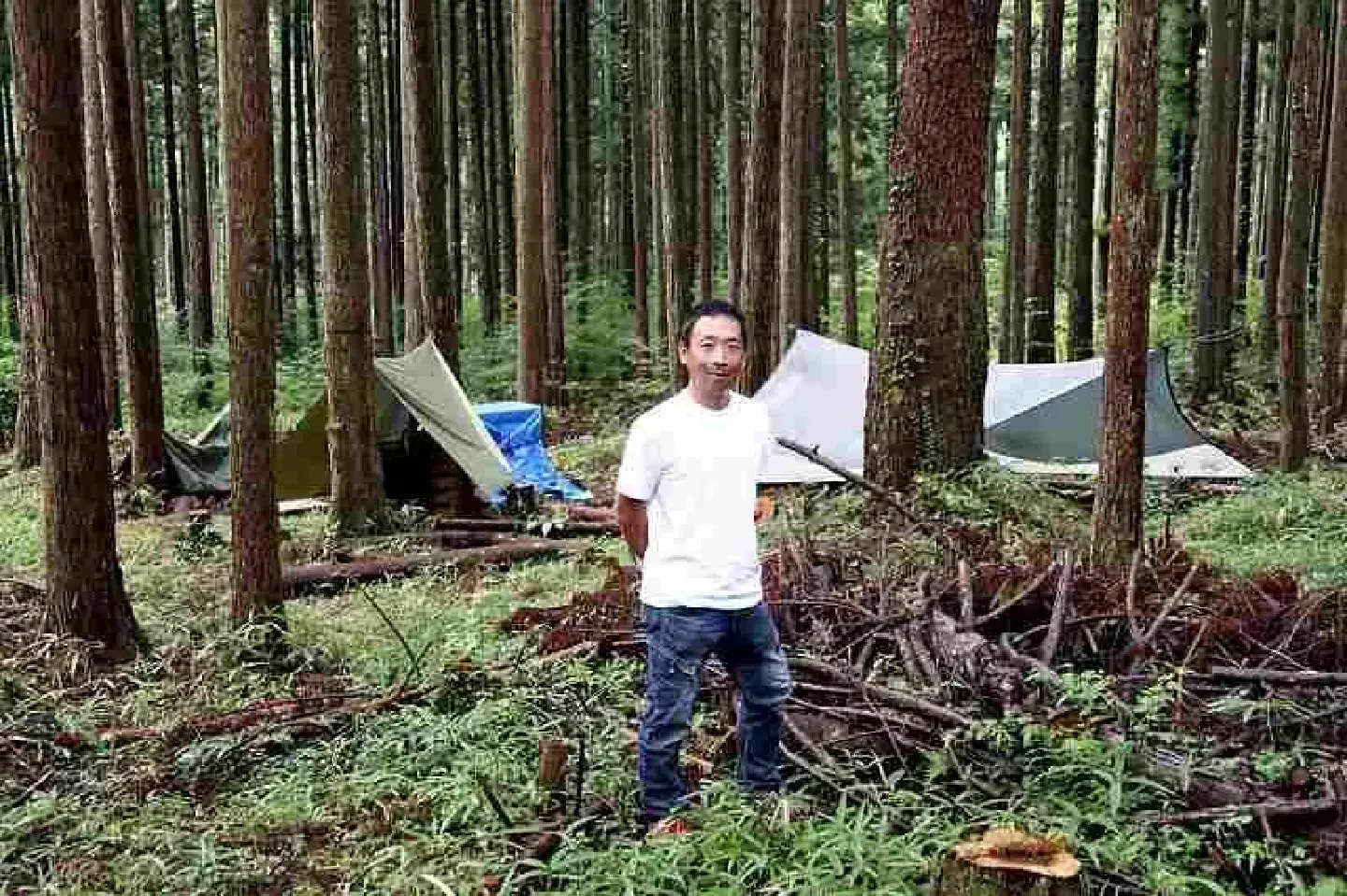 Renting forest space becoming popular among Japan’s city dwellers seeking nature time