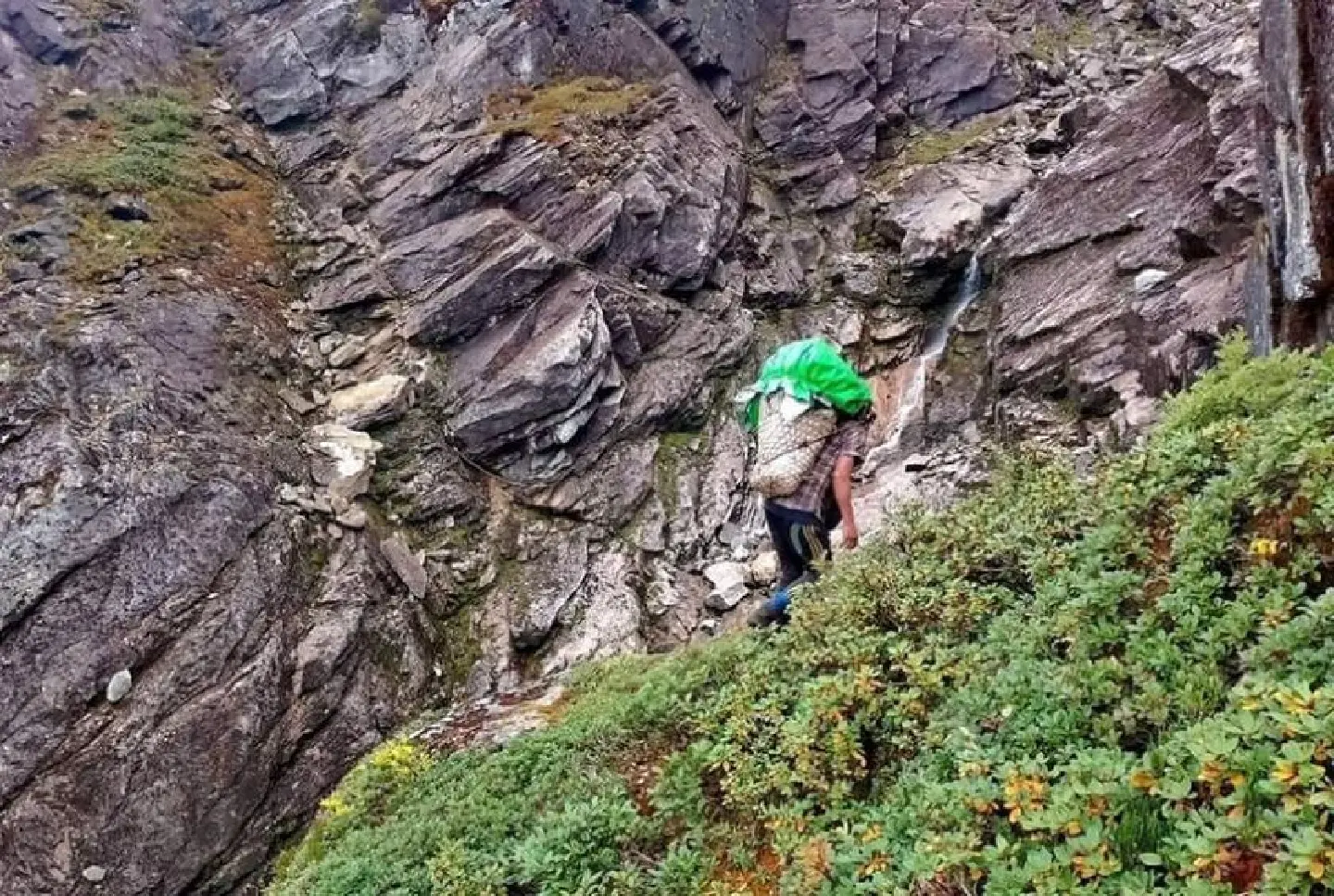 Nearly 30 killed in two years, looking for expensive rare herb in Myanmar’s mountainous north