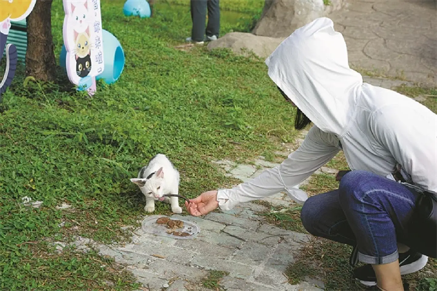 Shanghai gets a ‘purrfect’ place for stray cats Shanghai gets a ‘purrfect’ place for stray cats