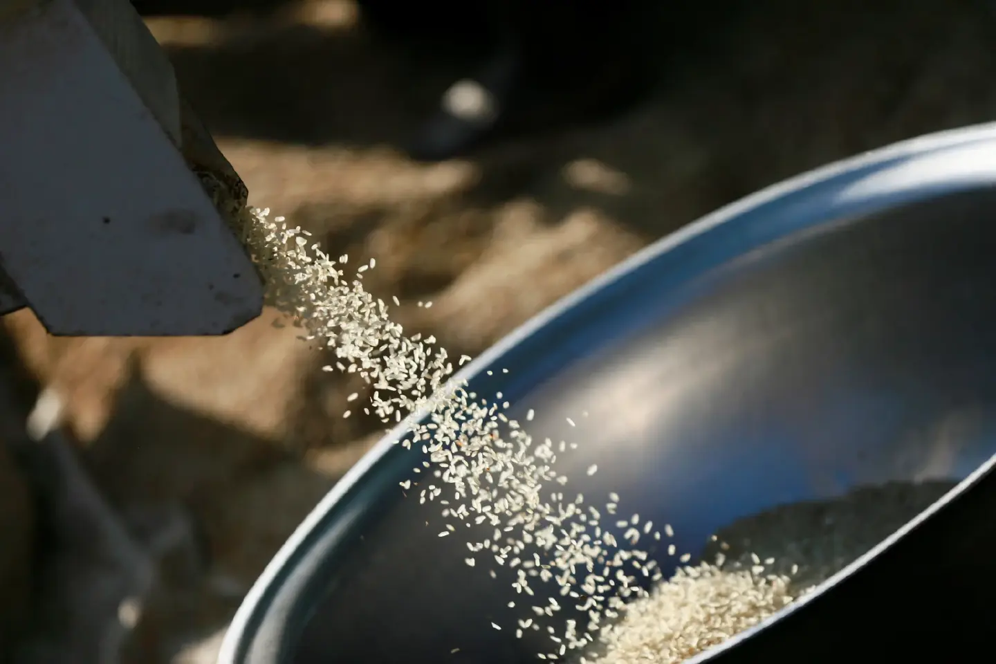 Tackling malnourishment in Asia Pacific still an uphill climb Tackling malnourishment in Asia Pacific still an uphill climb
