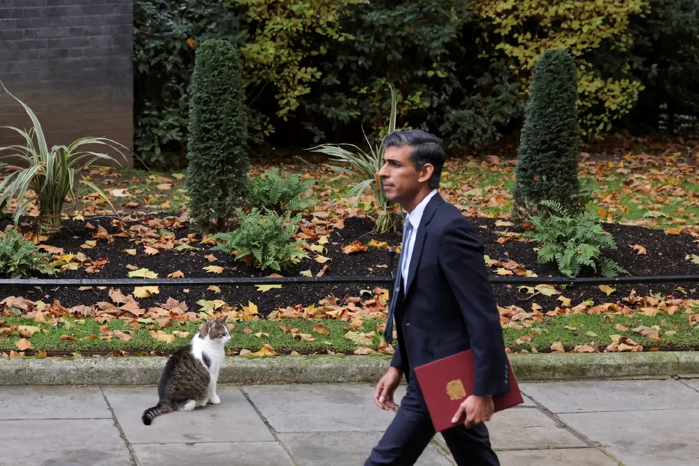 New PM Sunak vows to lead Britain out of economic crisis