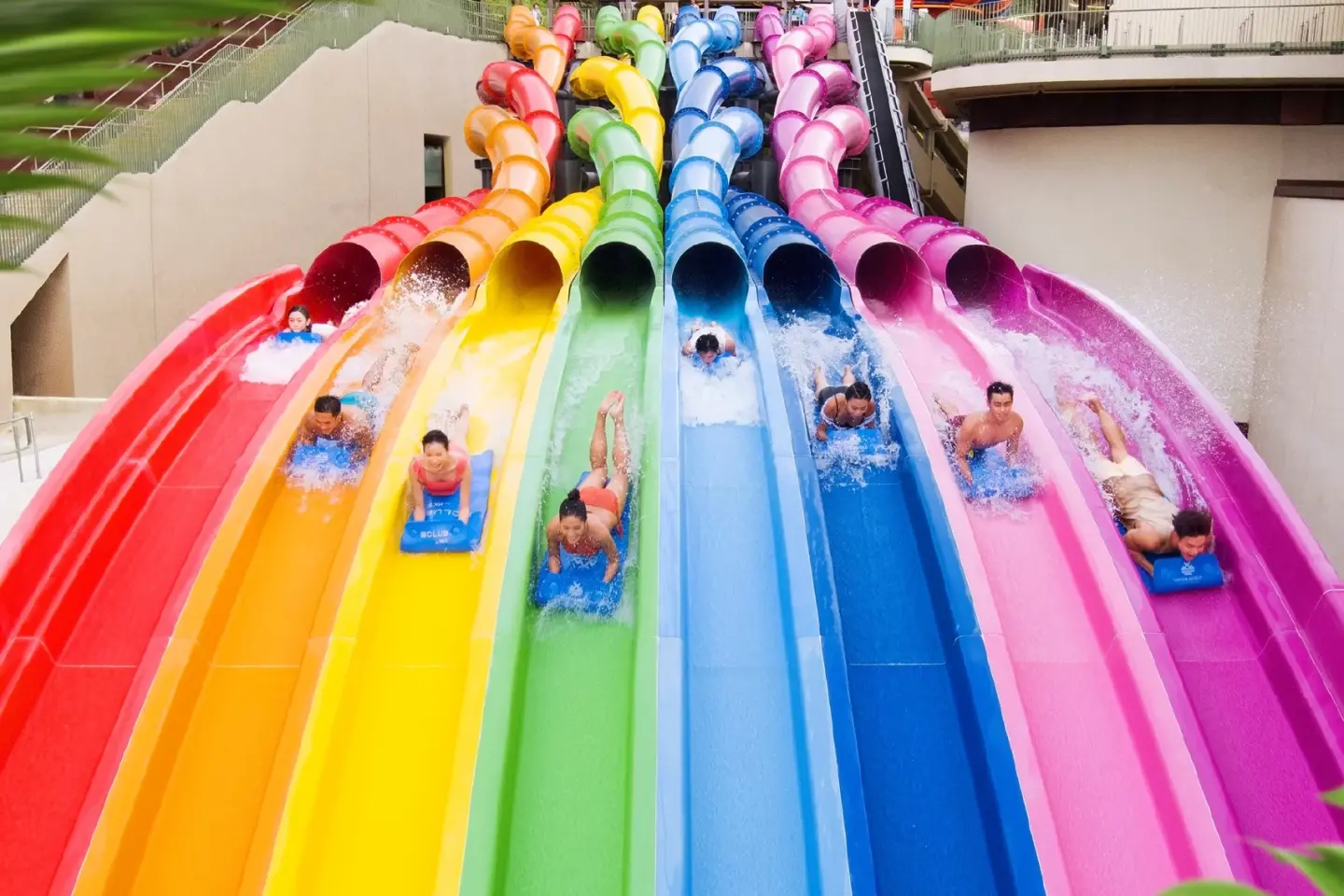 The Ideal Activities for You in Hong Kong,  According to Your Zodiac Sign