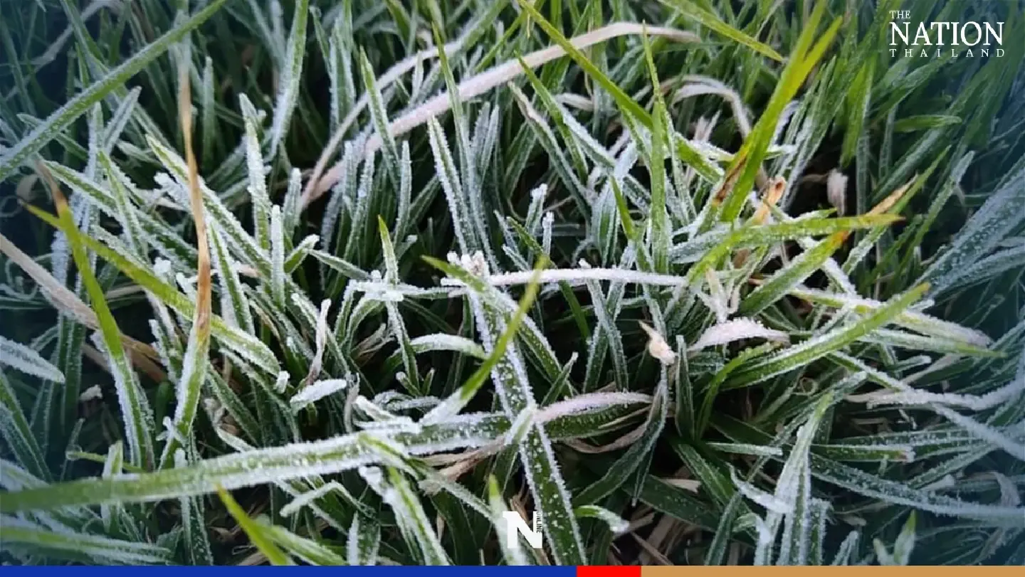 Tourists enjoy first sign of frost atop Doi Inthanon this year