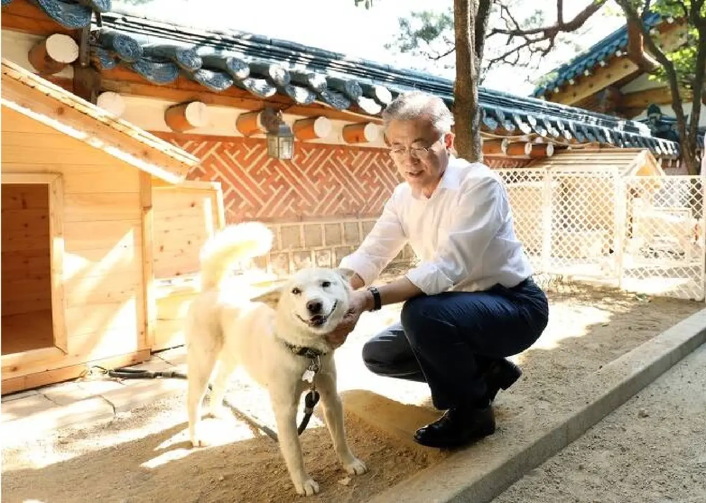 South Korea's ex-president to hand over to the government three dogs gifted by Kim