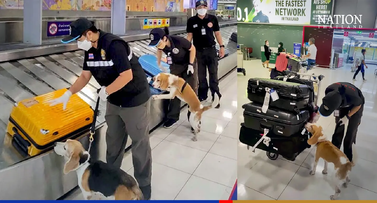 Canine unit sniffs out bags of smoked bat, ham, bacon smuggled from Kunming