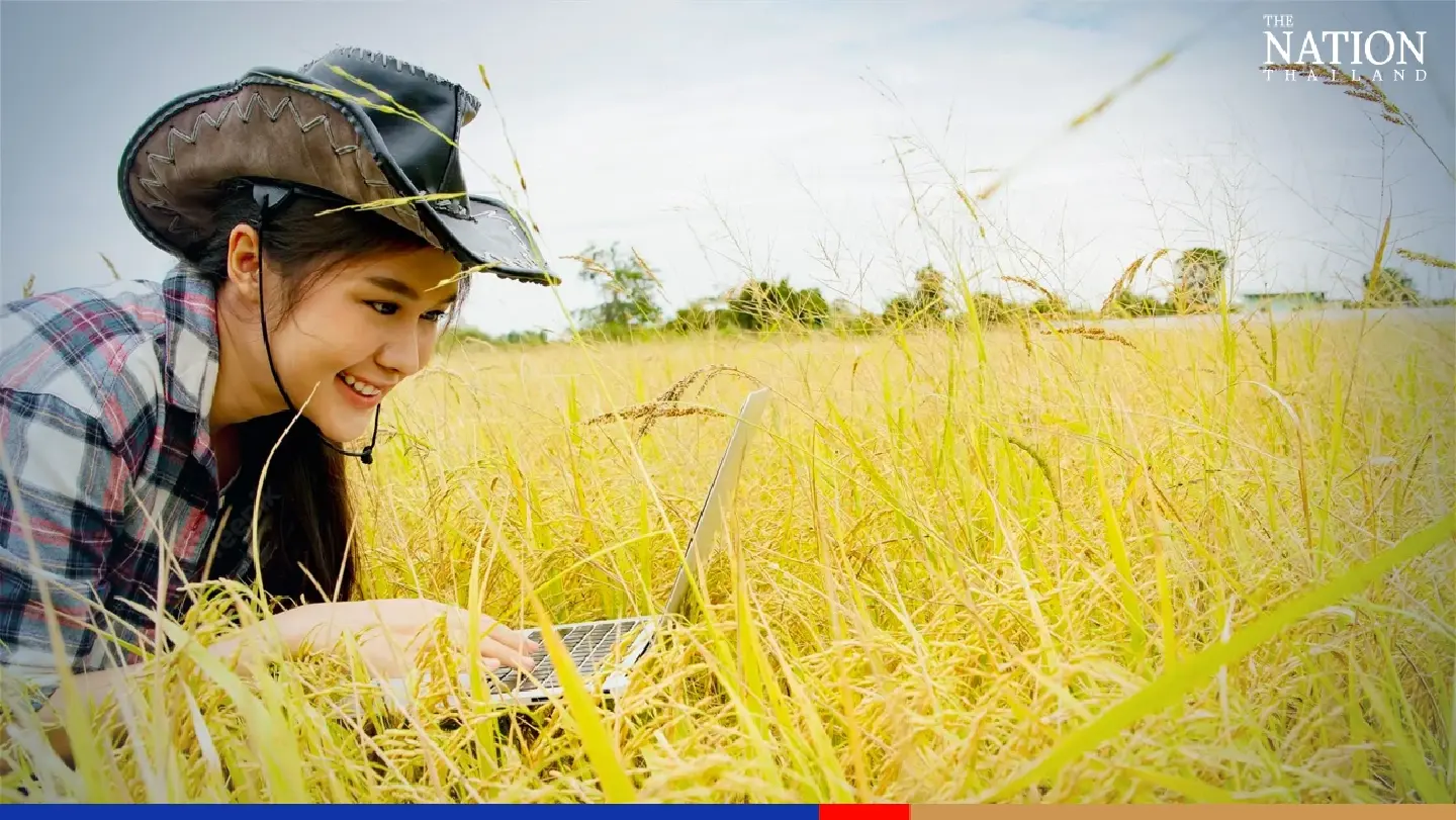 Thailand’s rice exports boom, Iraq emerges as largest customer