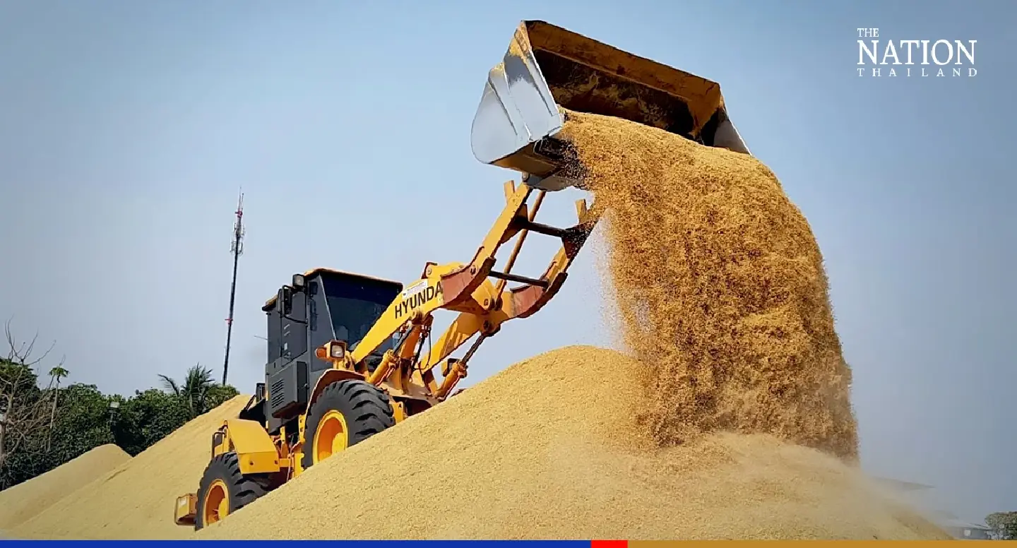 Rice price subsidy slashed by THB80bn as market price rises