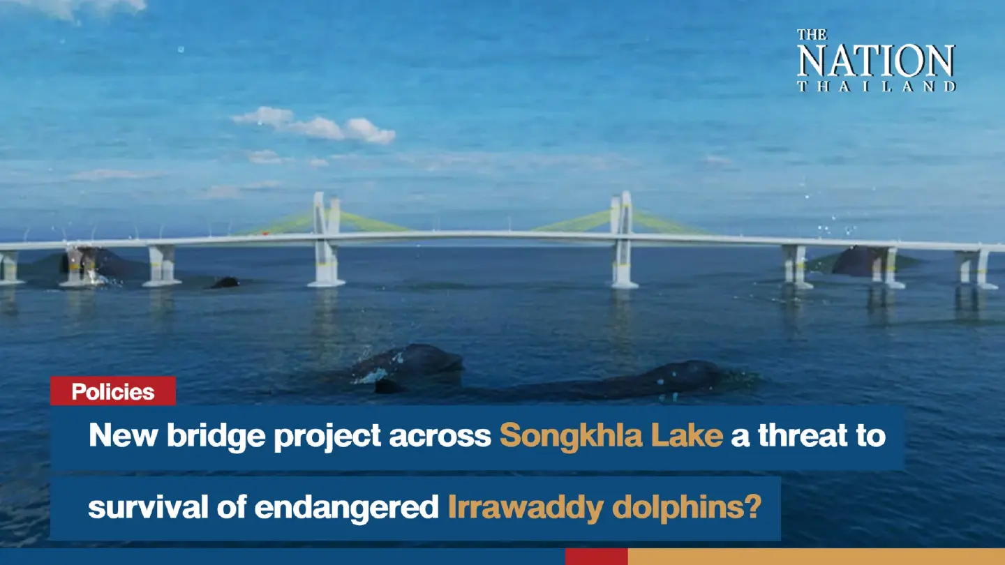 New bridge project across Songkhla Lake a threat to survival of endangered Irrawaddy dolphins?