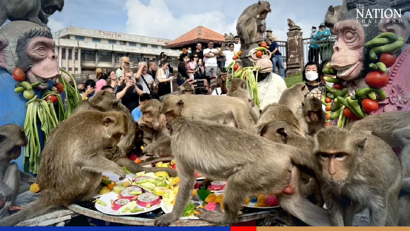 Lop Buri serves up a massive feast for its macaque population