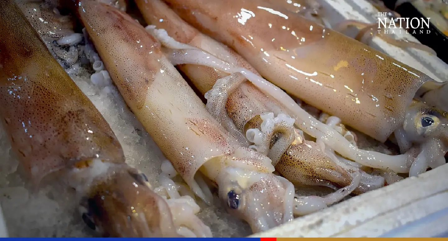 FDA warns consumers after discovering contaminated squid from China FDA warns consumers after discovering contaminated squid from China