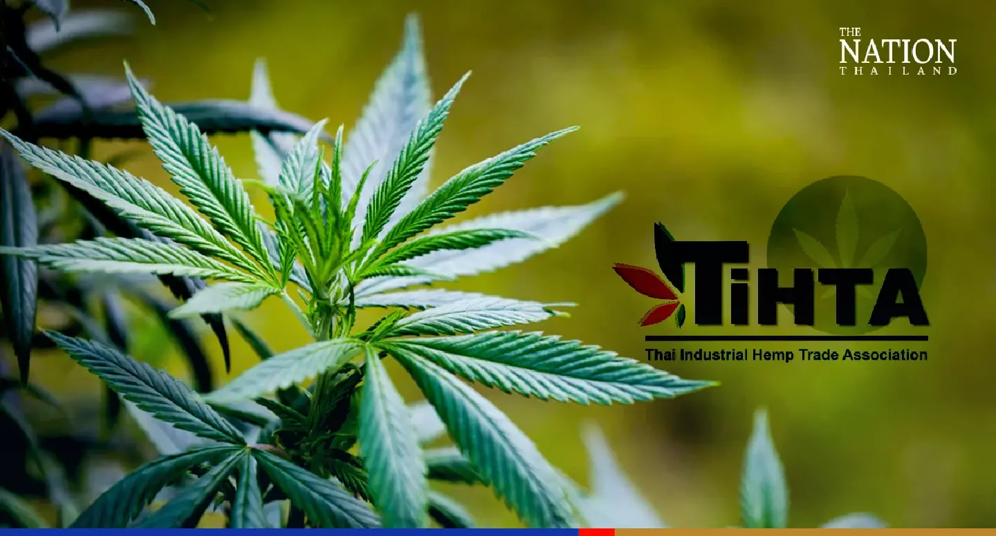 Business deals worth 5bn baht expected at Bangkok hemp trade fair