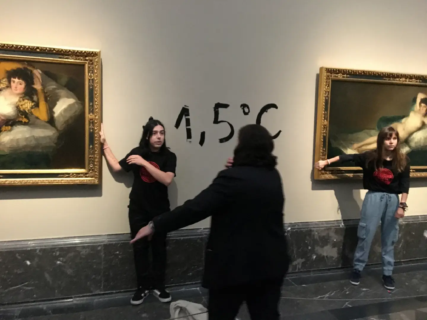 Man, woman glue themselves to Goya's paintings at Madrid museum in climate protest