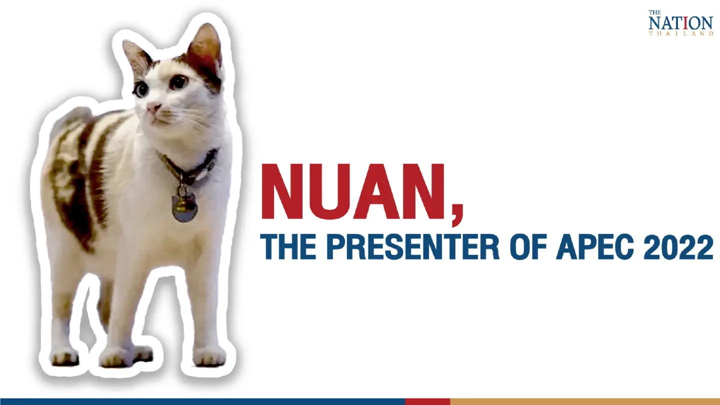 Nuan, The Presenter of Apec 2022