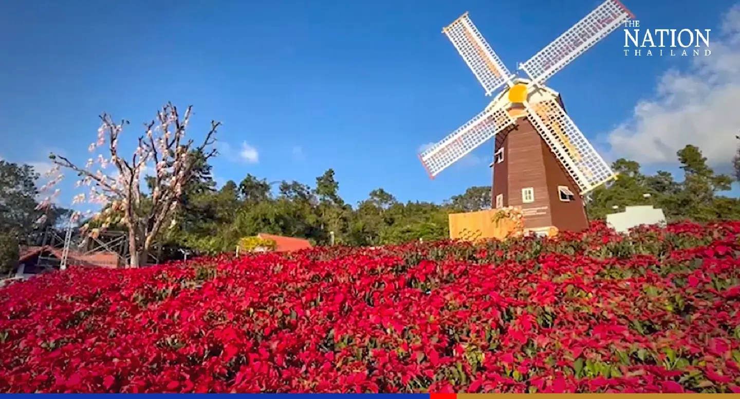 District in Loei woos tourists with colourful ‘Christmas Festival’