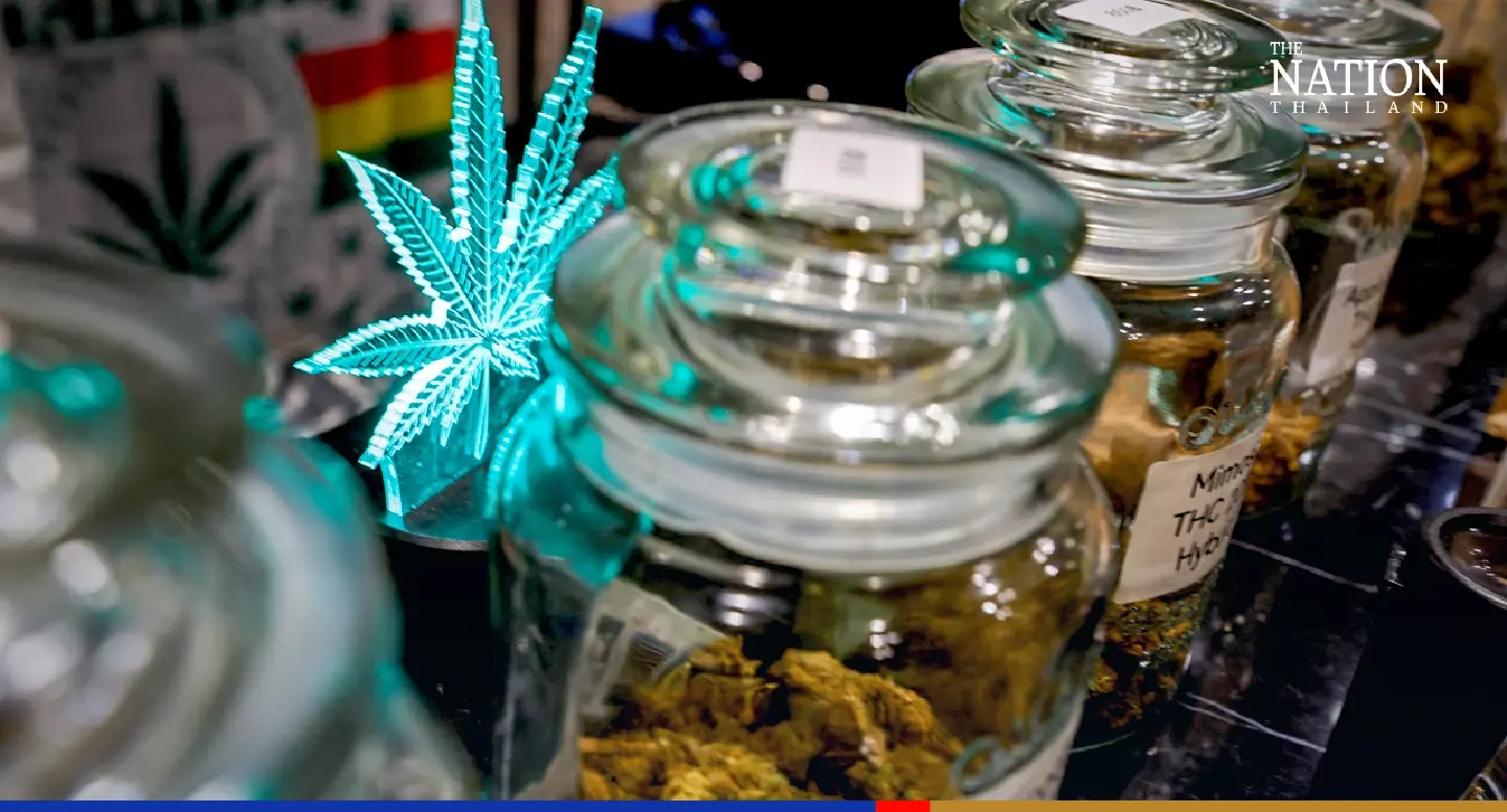 Apec host Thailand's budding marijuana industry faces backlash
