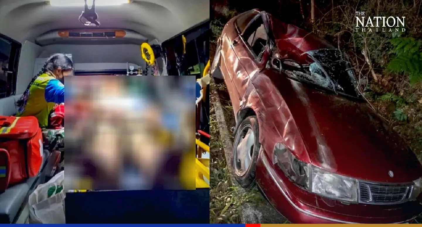 Man hospitalised after driving into elephant near Khao Yai National Park Man hospitalised after driving into elephant near Khao Yai National Park