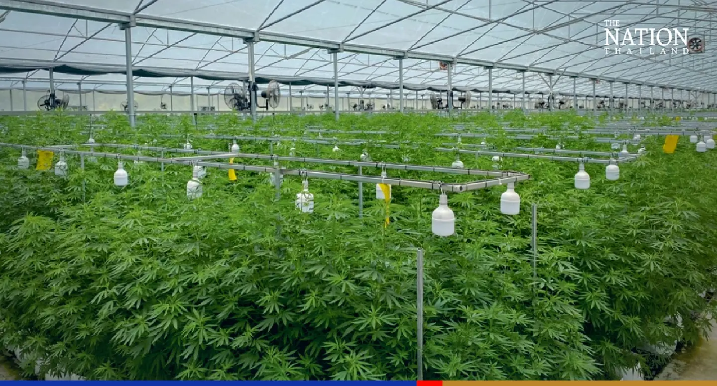 Eternal Energy to grow cannabis and hemp using greenhouse technology