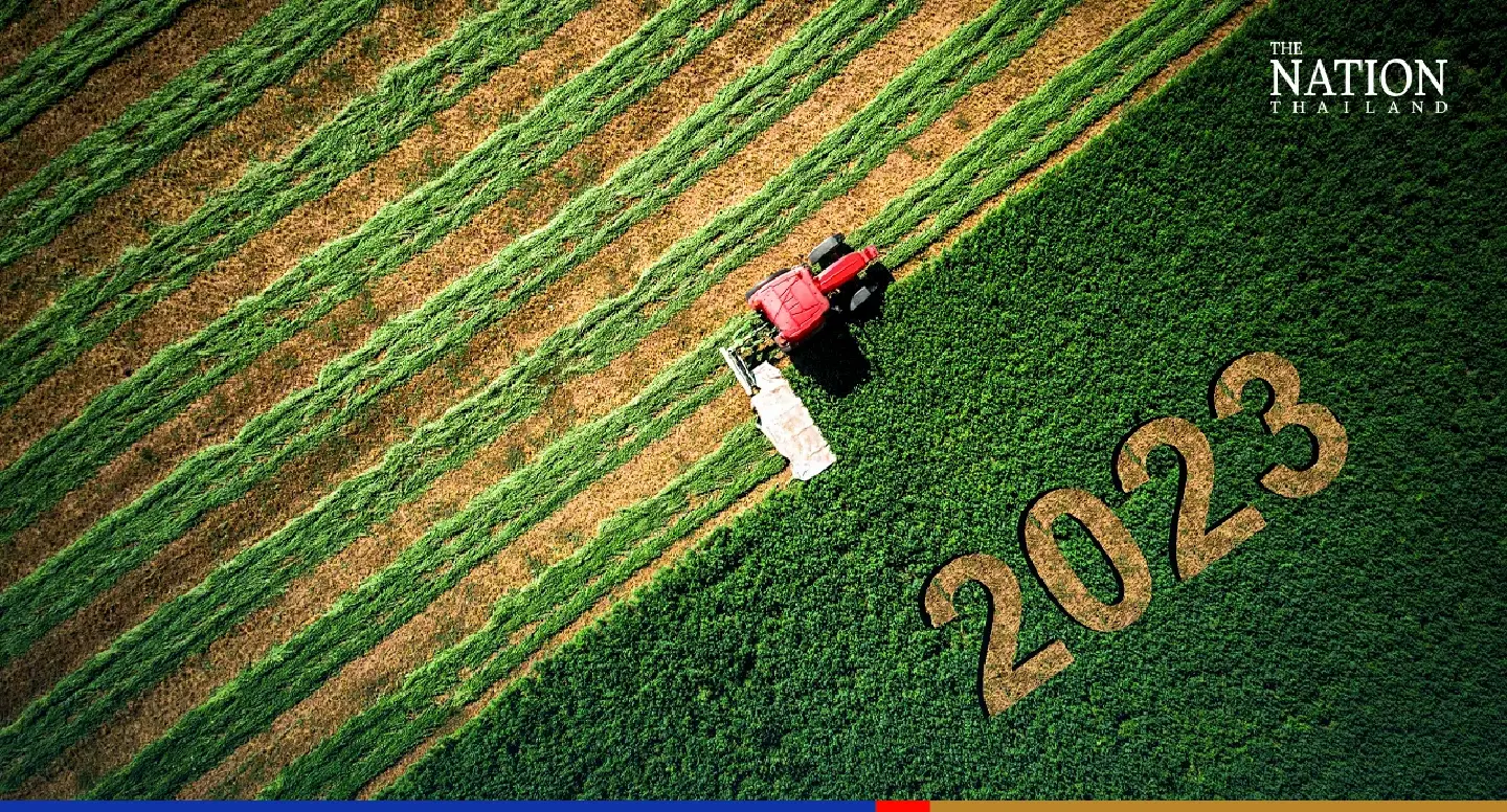 Thai agricultural sector to see K-shaped growth in 2023: EIC Thai agricultural sector to see K-shaped growth in 2023: EIC