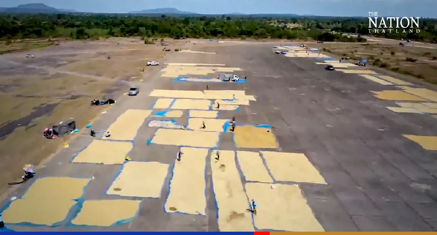 Thai farmers use derelict Cold War airbase to dry rice crop Thai farmers use derelict Cold War airbase to dry rice crop