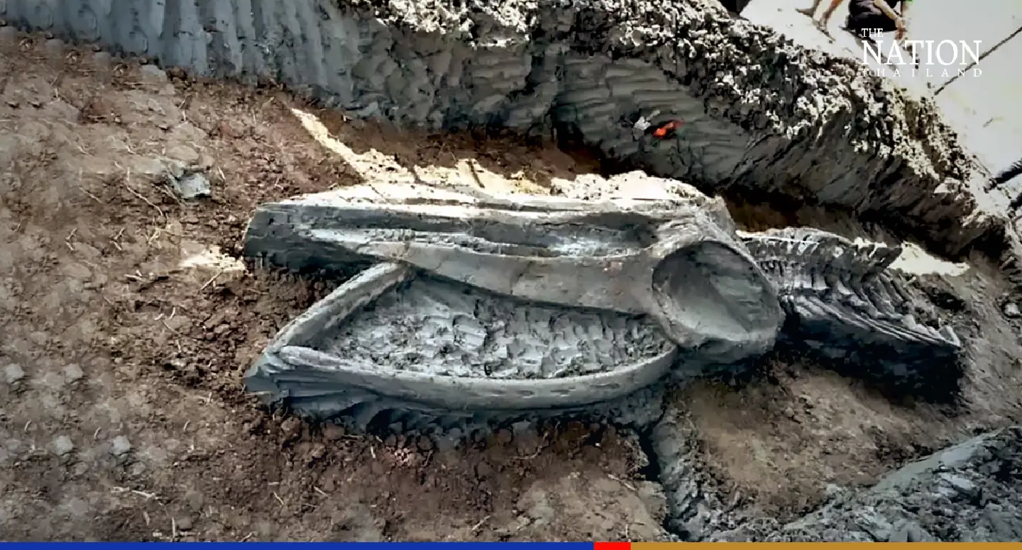 Ancient whale skeleton resurfaces near Bangkok after 3,000 years Ancient whale skeleton resurfaces near Bangkok after 3,000 years