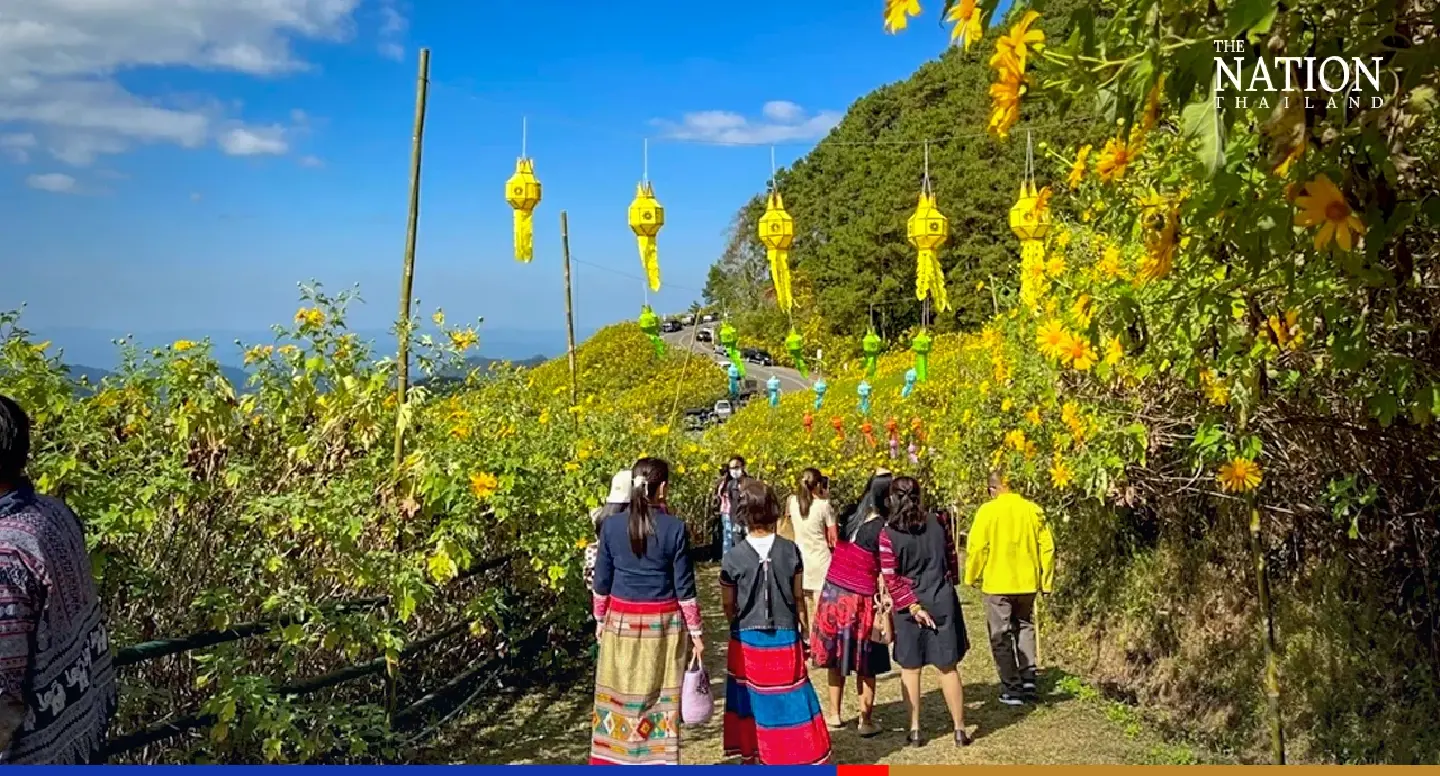 Beautiful yellow-orange sea of marigolds in Mae Hong Son beckons visitors